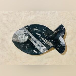 Ammonite Fossil Crystal Bowl / Tray / Ashtray fish design